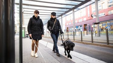 Two visually impaired woman walking on pavement, one with guide dog 
