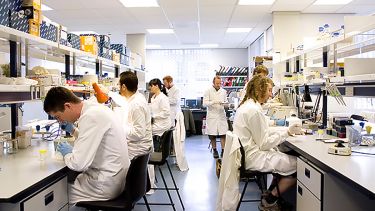 NERC - Biomolecular Analysis Facility, Sheffield