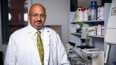 A photo of Professor Michael T Siva-Jothy in a laboratory - image