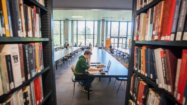 An image of a student studying in Western Bank Library