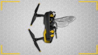 bee -drone hybrid on honeycomb background