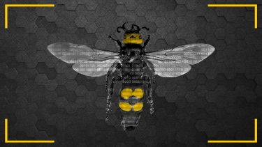 Bee on honeycomb background