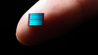 Microchip on a fingertip.