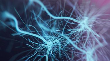 Neuron cells system - 3d rendered image of Neuron cell network on black background