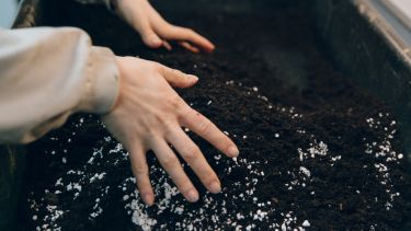 Picture of hands mixing soil together.