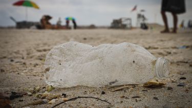 A single-use plastic water bottle recovered during a recent beach cleanup