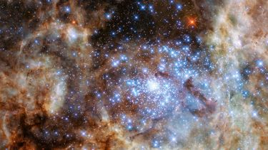 The central region of the Tarantula Nebula in the Large Magellanic Cloud. Credit: NASA, ESA, P Crowther
