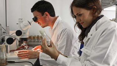 Students study biology in a lab