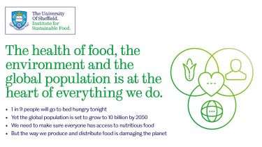 Graphic which has typed on it ' the health of food, the environment and the global population is at the heart of everything we do.'