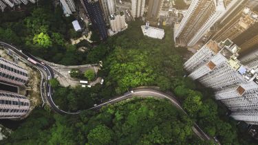Aerial view of curve road in forest against buildings