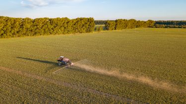 Aerial view of a farm tractor in a yellow field during spraying and for growing food, vegetables and fruits on indian summer sunny day. Agriculture industry.