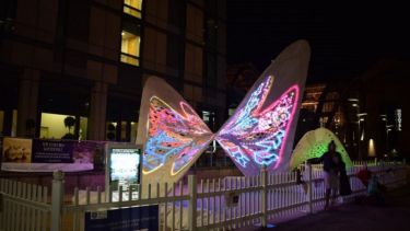 3D Printed Butterfly