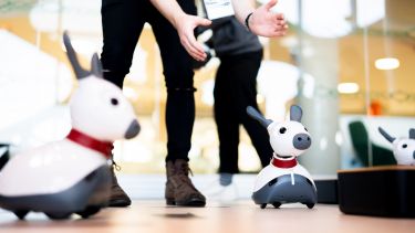 Two MiRo robots interacting with a human who is clapping