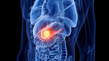 Pancreas