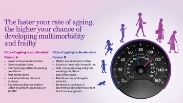 Diagram to show the biological and social factors that can accelerate and decelerate the rate of aging