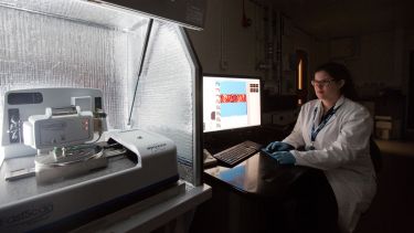 A student using an atomic force microscope