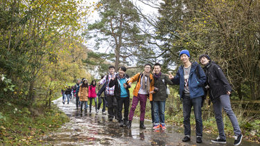 Students post while on walk in the forest