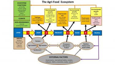 Agri-Food System