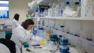Researcher working in the lab at SITraN