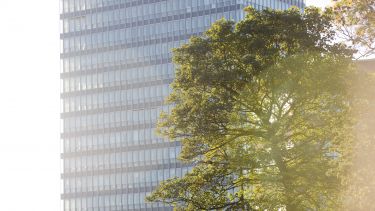 A photo of the arts tower in front of a tree