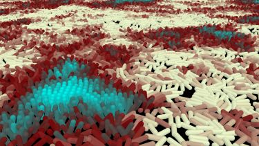 Computer simulation showing bacteria moving and colliding