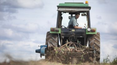 Farmer on tractor harvesting organic potatoes - stock photo