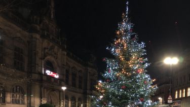 The Christmas tree in front of Sheffield Town Hall. Photo credit: Steel City Snapper