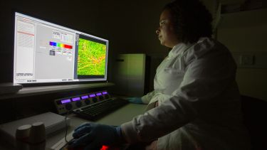 Researcher viewing culture on screen