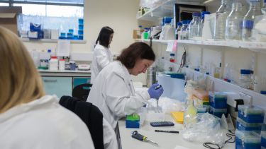 Scientist undertaking experiment in lab