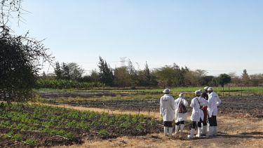 Researchers identifying a field site for an agrivoltaic system in Kajiado County, Kenya.