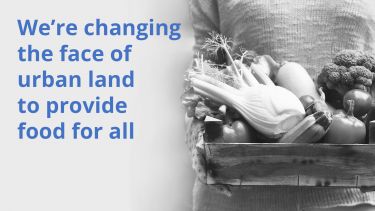 Urban land research banner image