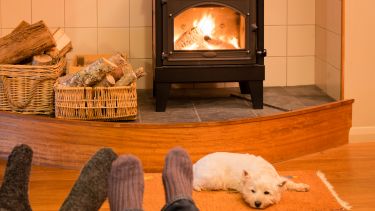 A couple relaxing in front of a indoor woodburner with a dog and glass of red wine