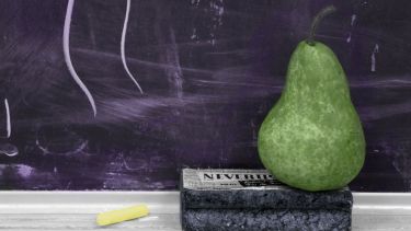 Pear and board-eraser on ledge in front on dusty chalkboard