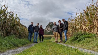 Group of students in a cornfield in Austria. A hill in the background