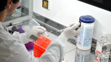 Scientist in the lab conducting medical research