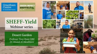 Desert Garden