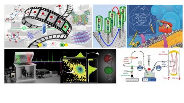 Research themes in the biophysical and photo physical group