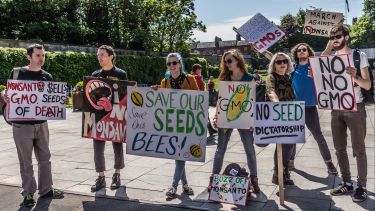 "Protesting Against Monsanto and GM crops REF-104595" by infomatique is licensed under CC BY-SA 2.0