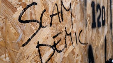 Chipboard with graffiti writing 'Scamdemic'