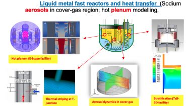 Liquid metal fast reactors and heat transfer