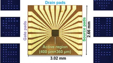 Image showing epitaxial approach aiming to monolithically integrate microLEDs and HEMTs on a single chip.