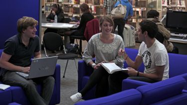 Students studying in the Information Commons