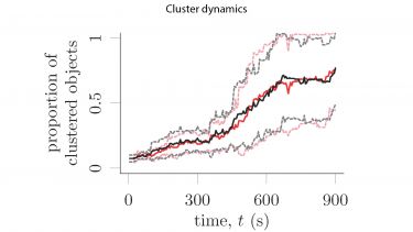 Cluster dynamics graph
