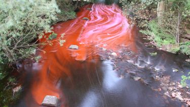 Dye trace Upper Don, 22 August 2007. © Copyright 2007 Beki Guymer.