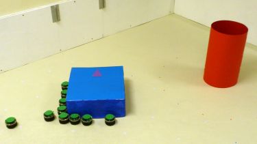 A strategy for transporting tall objects with a swarm of miniature mobile robots
