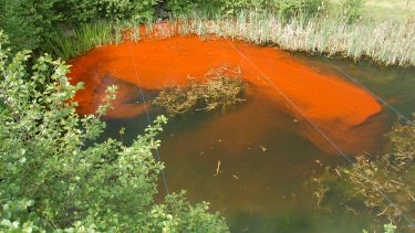 Dye trace in Lyby pond, in Sweden.