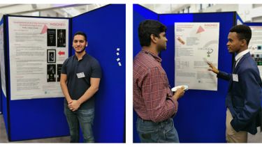 INSIGNEO Summer Placement Research Programme students with posters