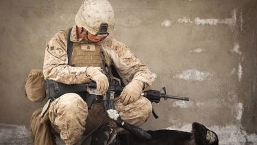 A soldier knelt down next to a dog