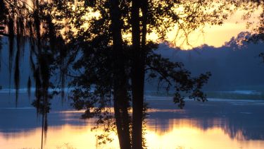 Margaret's photograph of a tree and a lake