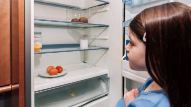 News - Picture of a child looking into a bare fridge.